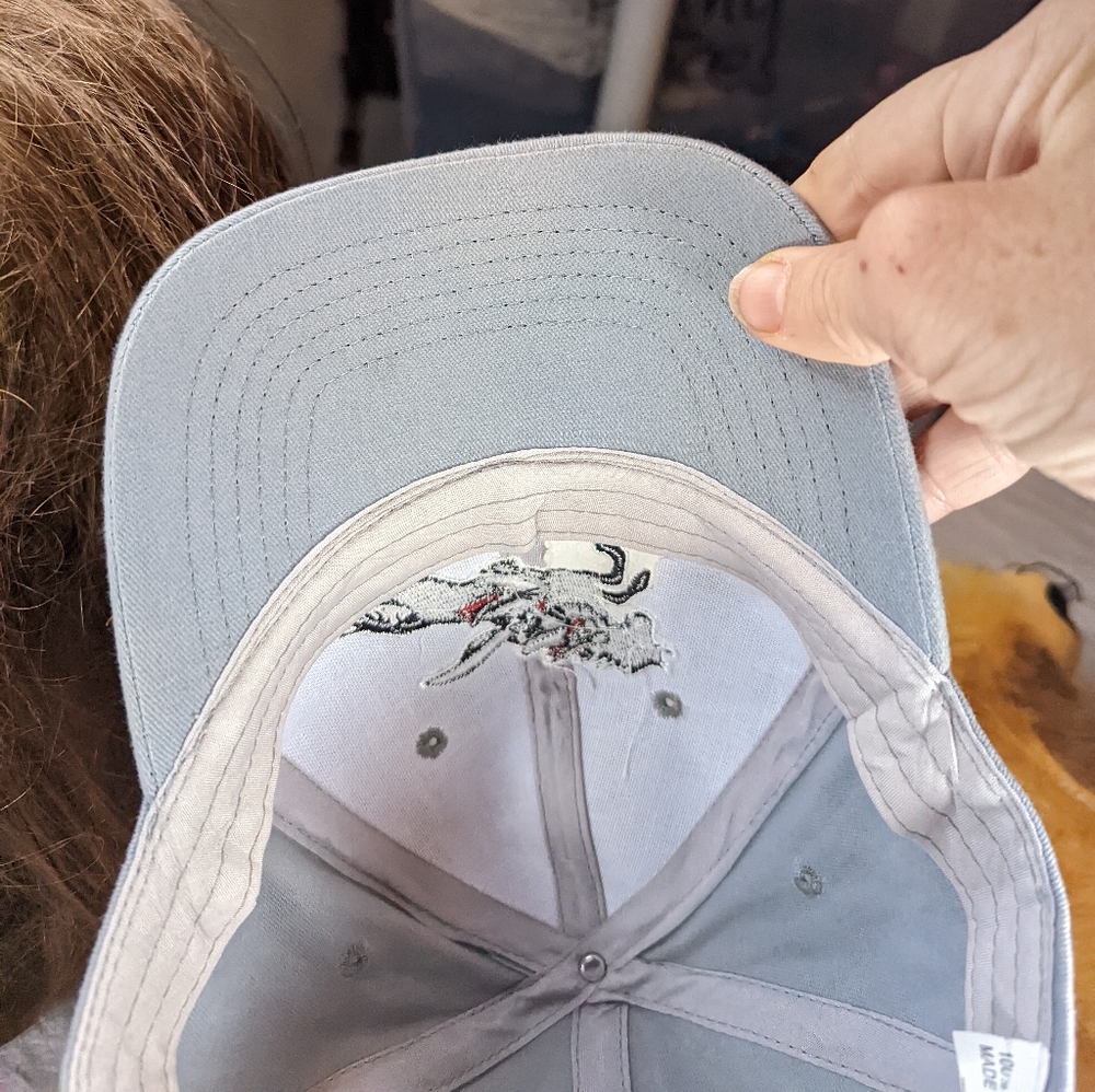 Rough Riders RARE Autographed Baseball Cap Adjustable Strap - Picture 5 of 9
